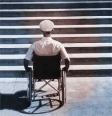 Read more about the article NEW ZEALAND ACCESSIBILITY CHAMPION